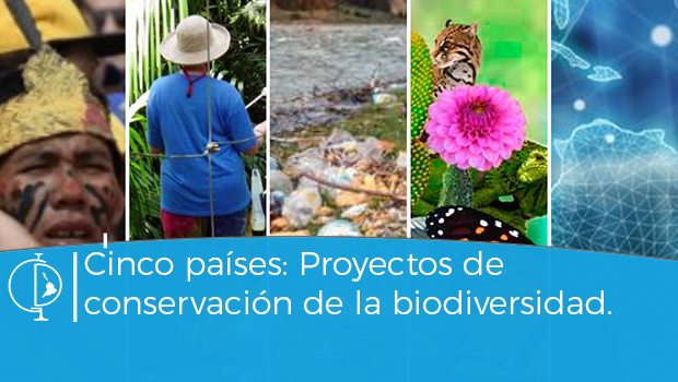 Cinco países pondrán en marcha este año proyectos de conservación de la biodiversidad